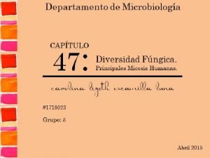 Departamento de Microbiologa 47 CAPTULO Diversidad Fngica Principales