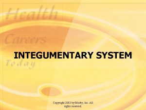 INTEGUMENTARY SYSTEM Copyright 2003 by Mosby Inc All