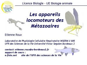 Licence Biologie UE Biologie animale Les appareils locomoteurs