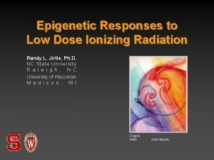 Epigenetic Responses to Low Dose Ionizing Radiation Randy