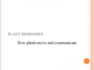 PLANT RESPONSES How plants move and communicate Plant