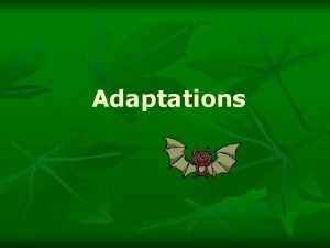 Adaptations Objectives n n SPI 0807 5 2