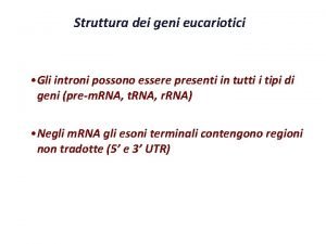 Struttura dei geni eucariotici Gli introni possono essere