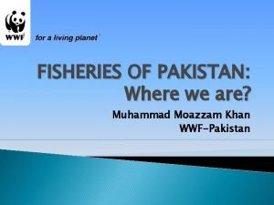 FISHERIES OF PAKISTAN Where we are Muhammad Moazzam