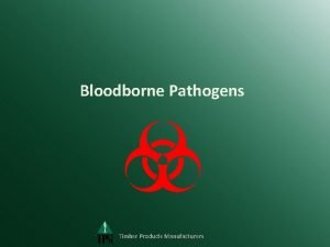Bloodborne Pathogens Timber Products Manufacturers Ideal vs Real