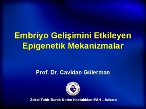 Embriyo Geliimini Etkileyen Epigenetik Mekanizmalar Prof Dr Cavidan