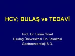 Prof dr selim gürel