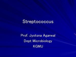 Streptococcus Prof Jyotsna Agarwal Dept Microbiology KGMU Streptococci