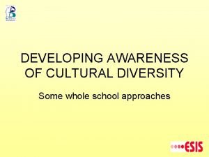 Whole school approach to cultural diversity