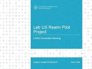 Lab US Realm Pilot Project LOINC Committee Meeting