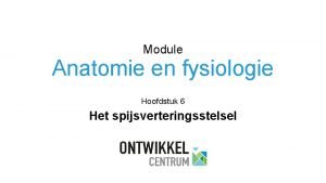 Module Anatomie en fysiologie Hoofdstuk 6 Het spijsverteringsstelsel