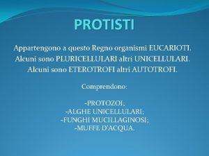 Muffe d'acqua protisti