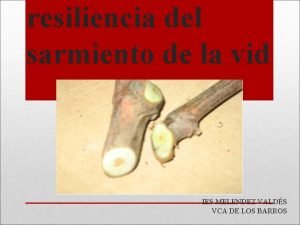 resiliencia del sarmiento de la vid IES MELENDEZ