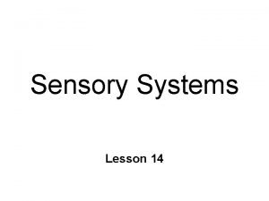 Sensory Systems Lesson 14 Sensory Information Detection of