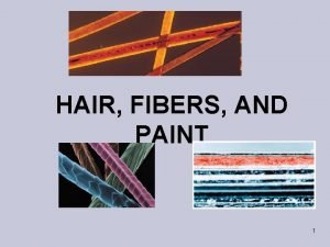 HAIR FIBERS AND PAINT 1 Introduction Hair is