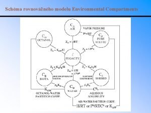Schma rovnovnho modelu Environmental Compartments Schma ivotnho cyklu