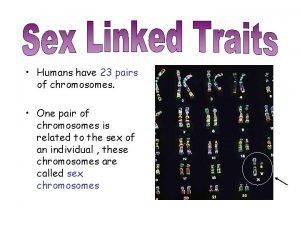 Humans have 23 pairs of chromosomes One pair