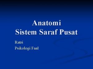 Anatomi Sistem Saraf Pusat Ratri Psikologi Faal Meet