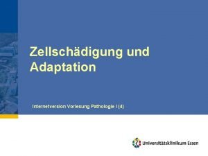 Zellschdigung und Adaptation Internetversion Vorlesung Pathologie I 4