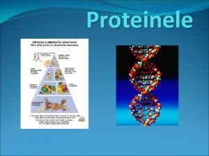 Proteinele Proteinele Definitie Proteina este un element esential