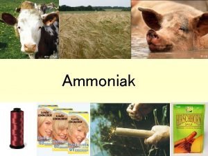 Ammoniak Gliederung Darstellung Eigenschaften AmmoniumSalze Nachweise Verwendung Schulrelevanz