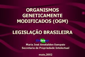 ORGANISMOS GENETICAMENTE MODIFICADOS OGM LEGISLAO BRASILEIRA Maria Jos