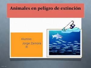 Animales en peligro de extincin Alumno Jorge Zamora