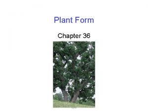 Plant Form Chapter 36 Plant Body Organization A