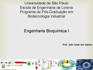 Universidade de So Paulo Escola de Engenharia de