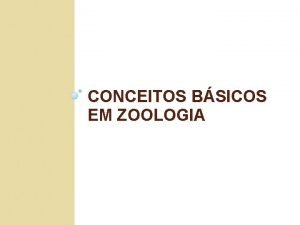 Bauplan zoologia
