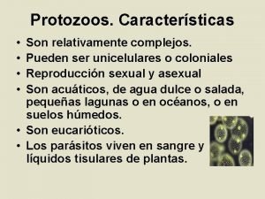 Características generales de protozoarios Características generales de protozoarios