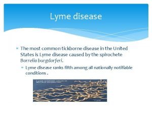 Lyme disease The most common tickborne disease in