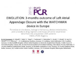 EWOLUTION 3 months outcome of Left Atrial Appendage