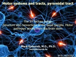 Difference between pyramidal and extrapyramidal tract