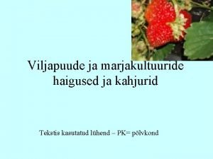 Pirnipuu haigused