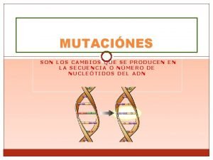 MUTACINES SON LOS CAMBIOS QUE SE PRODUCEN EN