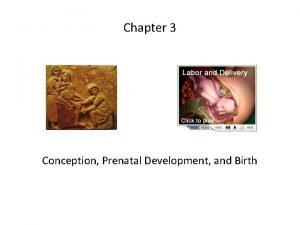 Chapter 3 Conception Prenatal Development and Birth In