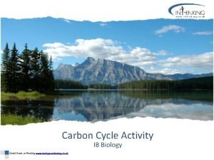 Carbon cycle diagram ib