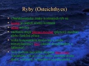 Ryby Osteichthyes Charakteristick znaky kostnatch rb s kostra