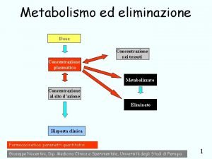 Metabolismo ed eliminazione Dose Concentrazione plasmatica Concentrazione nei