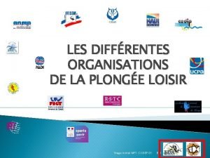 LES DIFFRENTES ORGANISATIONS DE LA PLONGE LOISIR Stage