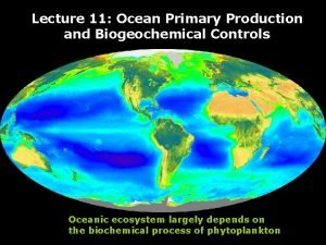 Lecture 11 Ocean Primary Production and Biogeochemical Controls