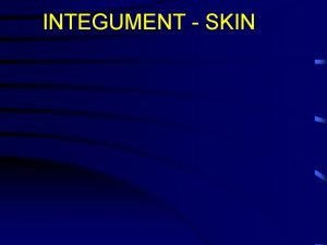 INTEGUMENT SKIN I Skin General considerations A Skin
