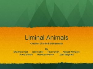 Liminal animals