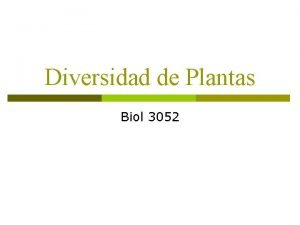 Diversidad de Plantas Biol 3052 Plantas Por ms