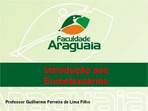 Introduo aos Eumetazorios Professor Guilherme Ferreira de Lima