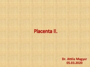 Placenta II Dr Attila Magyar 05 03 2020