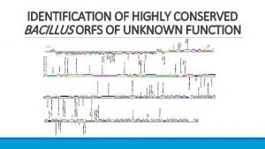 IDENTIFICATION OF HIGHLY CONSERVED BACILLUS ORFS OF UNKNOWN