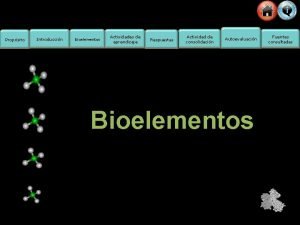 Actividades de bioelementos