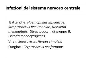 Infezioni del sistema nervoso centrale Batteriche Haemophilus influenzae